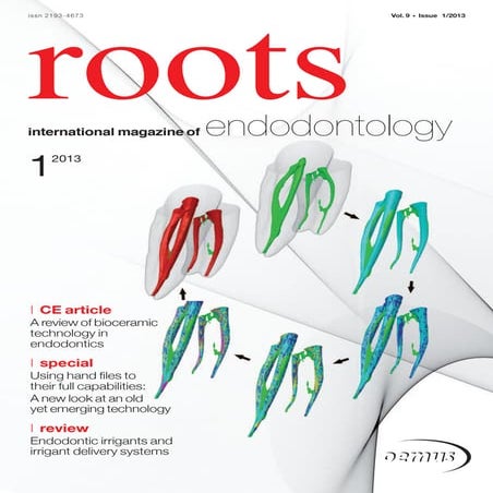 Roots International Magazine of Endodontology