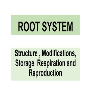 Roots System