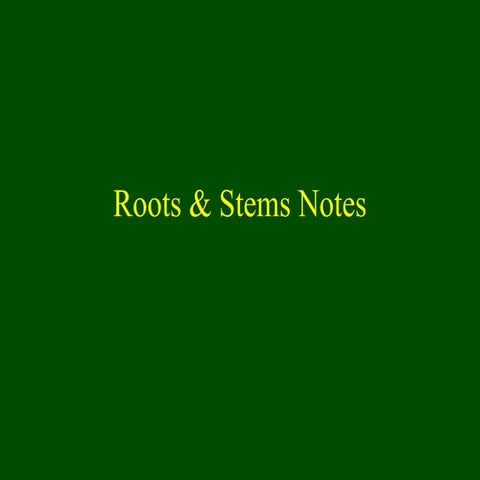 Roots & stems moodle