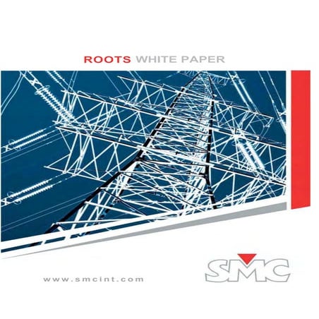Roots white paper