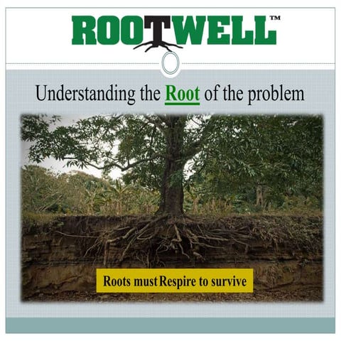 Stratavault™ - Leading the Way in Advanced Structural Soil Cells | PDF