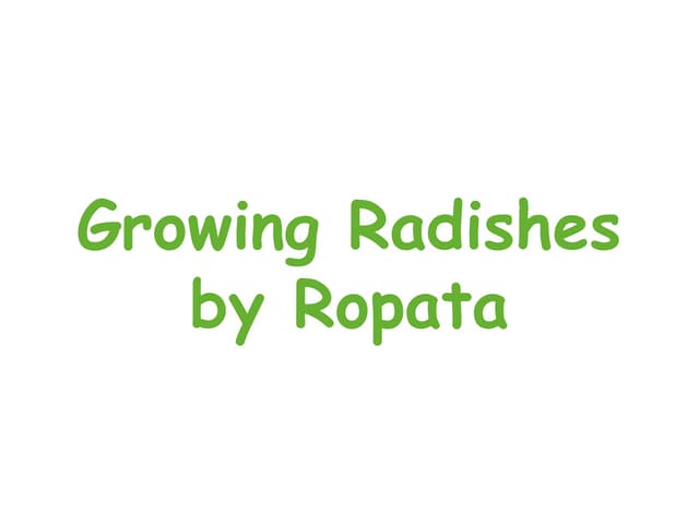 Ropata