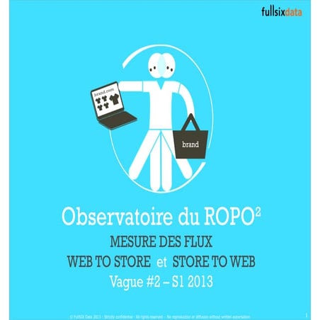 What Is Ropo | PDF