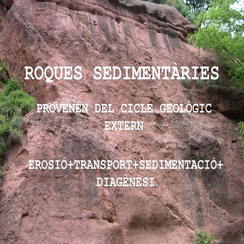 Roques sedimentàries