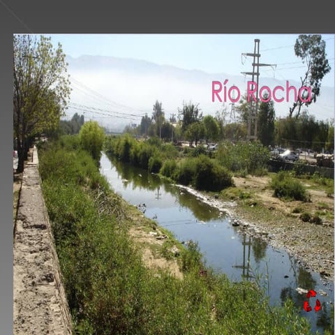 RíO Rocha PPT Descarga Gratuita