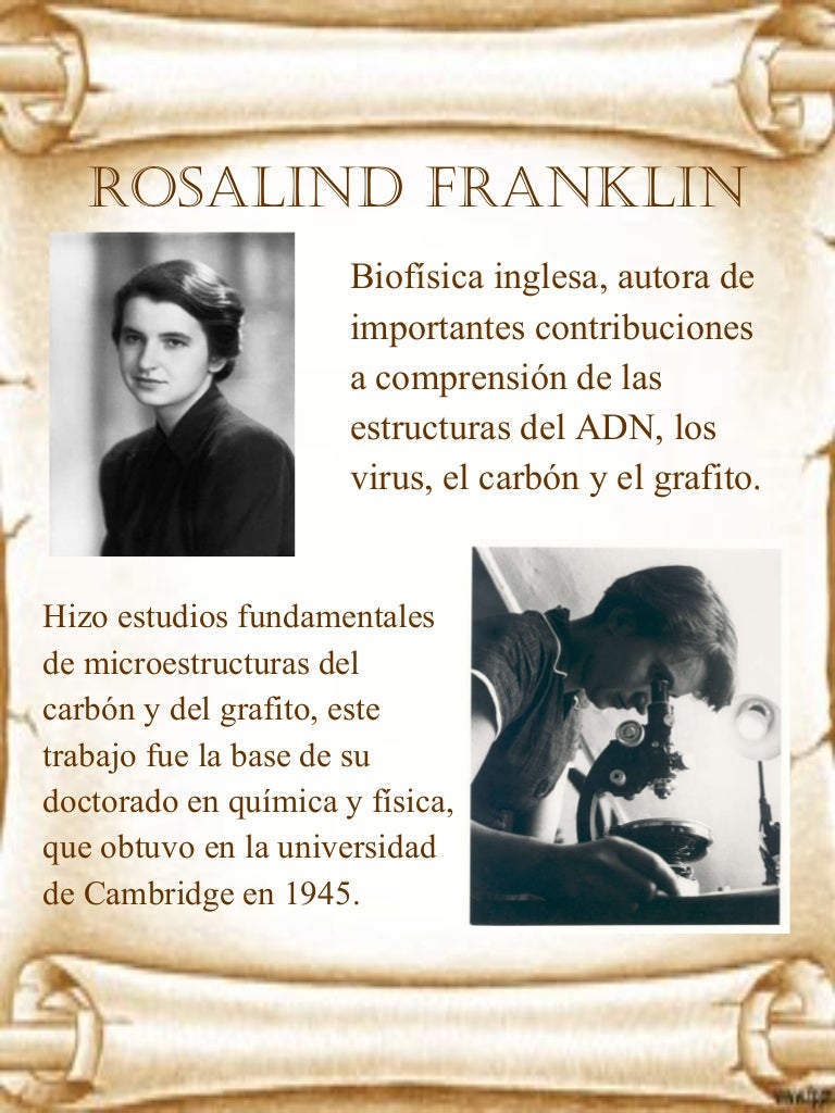 Chicago medical school at rosalind franklin image