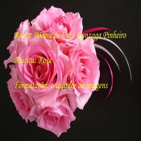 Rosas | PPS