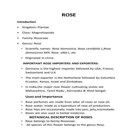 ROSE CULTIVATION IN INDIA