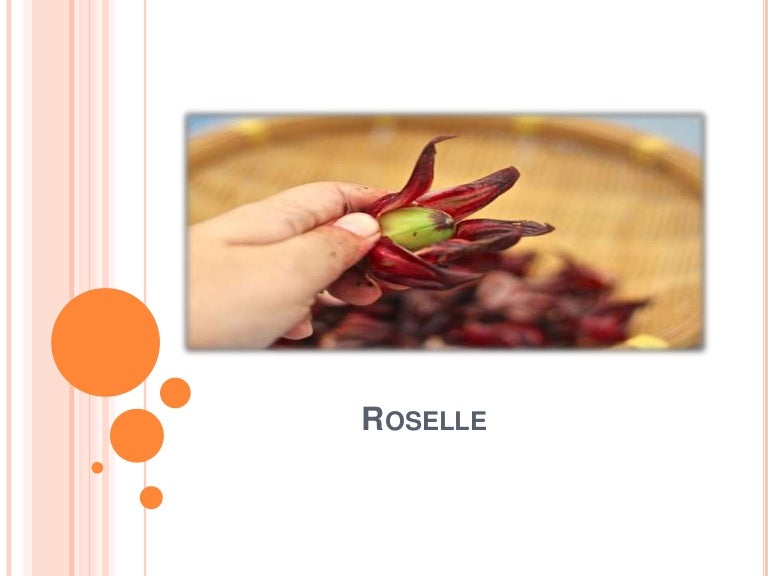What is Roselle