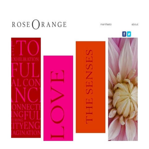 Rose orange the project