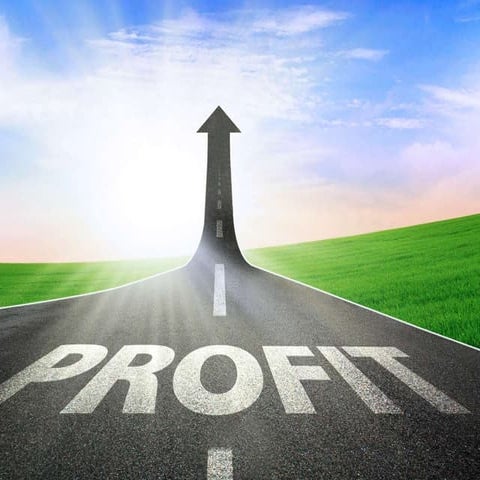 Profit Maximization by Ali Roshaan