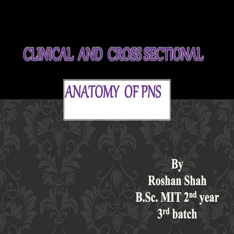 PNS | PPT