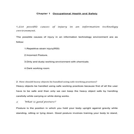 Occupational Health & Safety 08 assignment 2009