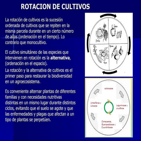 Rotacion de cultivos