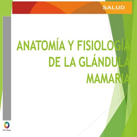 Anatomía y fisiología de la glándula mamaria.