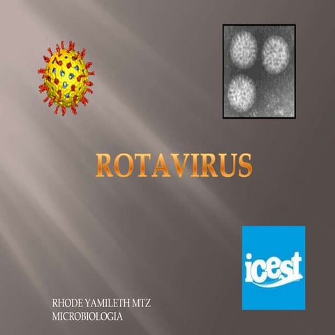 Rotavirus 