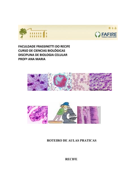 Roteiro de aula prática de Biologia...