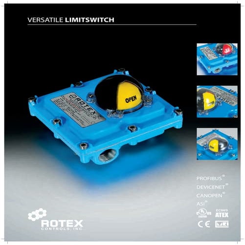 ROTEX Controls Industrial NEMA 4 and NEMA 7 Limit Switch Catalog