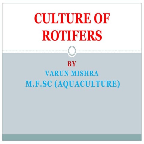 Culture Of Rotifers