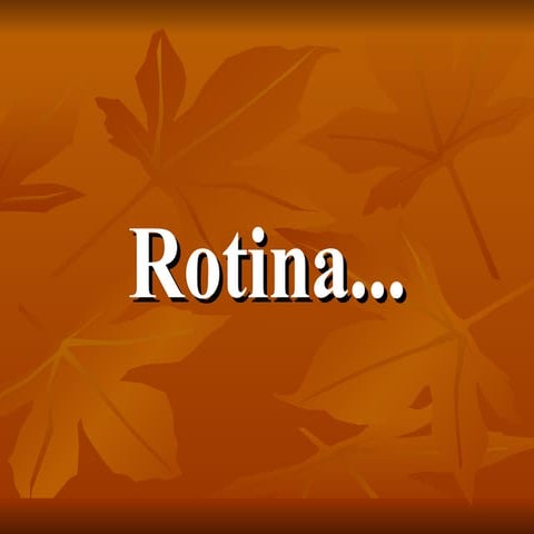 Rotina1