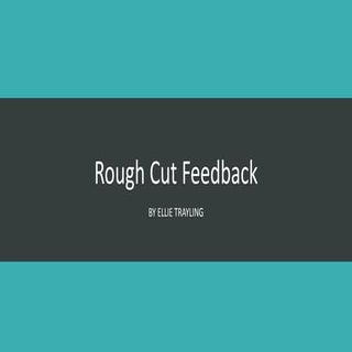 Rough cut feedback