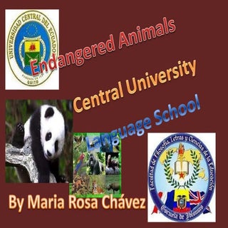 Universidad Central del Ecuador Fac...