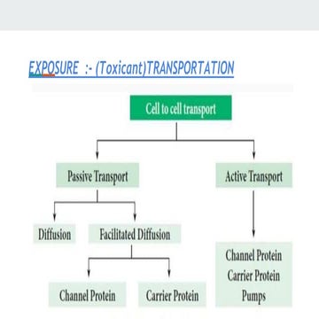 Various routes of exposure of toxicant 