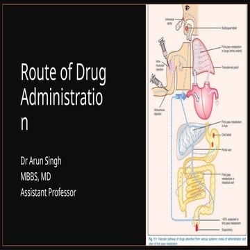 Routes Of Administration Intramuscular Versus Intradermal Injection