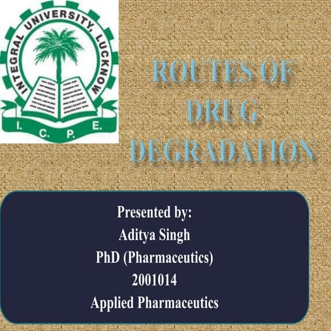 Routes of drug degradation