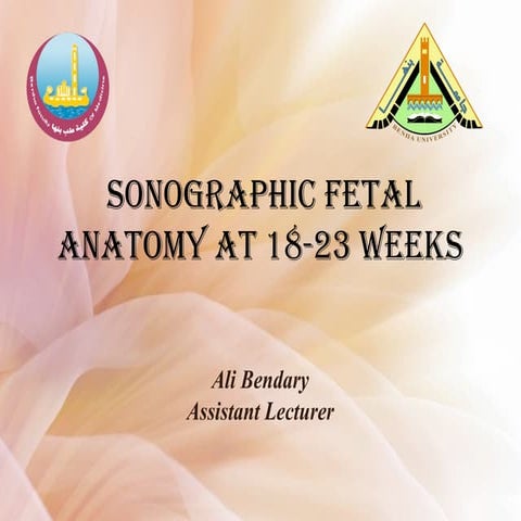 Routine fetal anatomy scan at 18-23 weeks