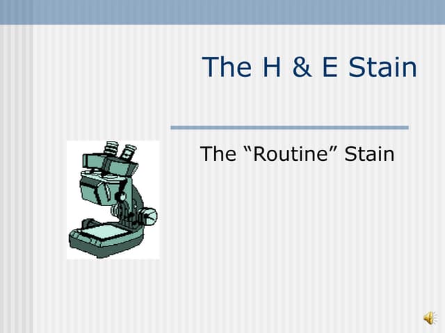 Routine H &amp; E