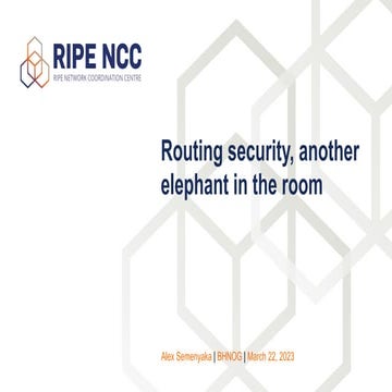 Routing Security, Another Elephant in the Room