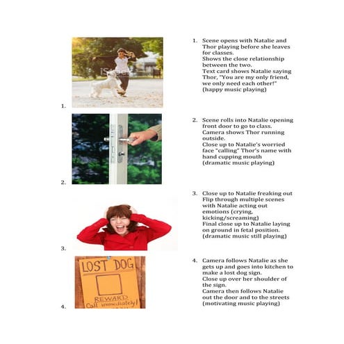 Roveto final-video-storyboard