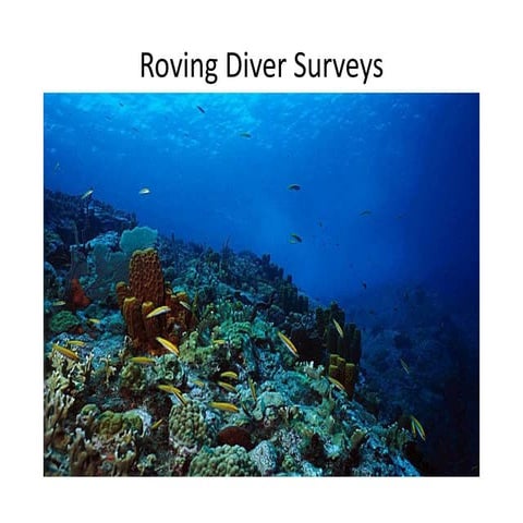 Roving diver surveys 2015
