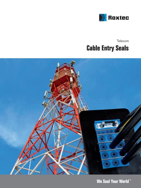 TFS Brochure 5_Redetec | PDF
