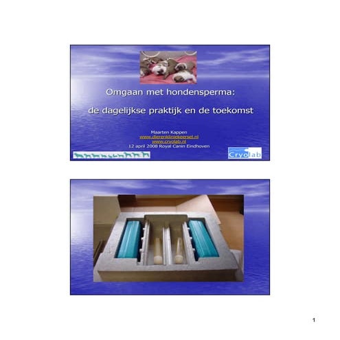 Royal canin | PDF