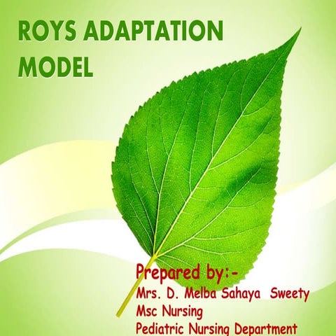 Nursing Roy's adaptation theory