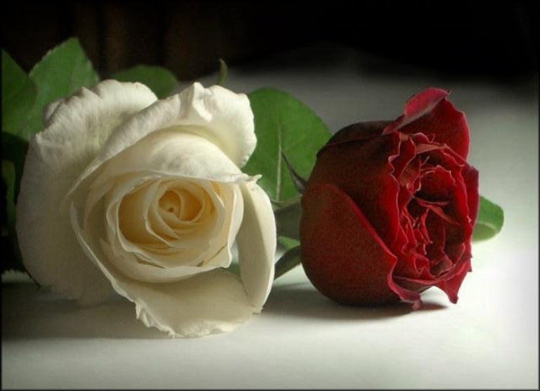 Roze