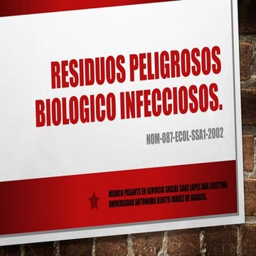 Presentación RPBI.pptx