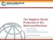 The adaptive social protection in t...