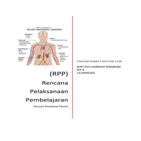 Rpp4  peredaran darah