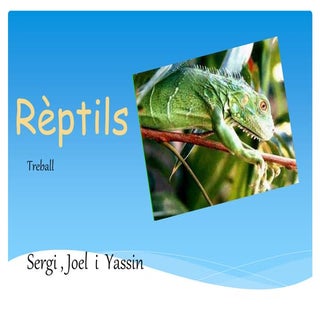 Rèptils