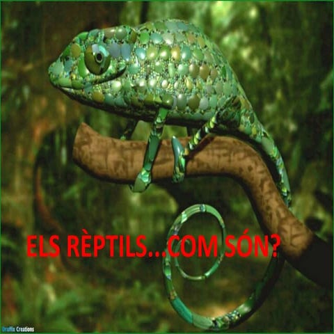Rèptils i ocells p54 55