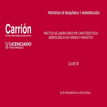 RRDD_CLASE_18_Microbiologia_09_12__2021.pdf
