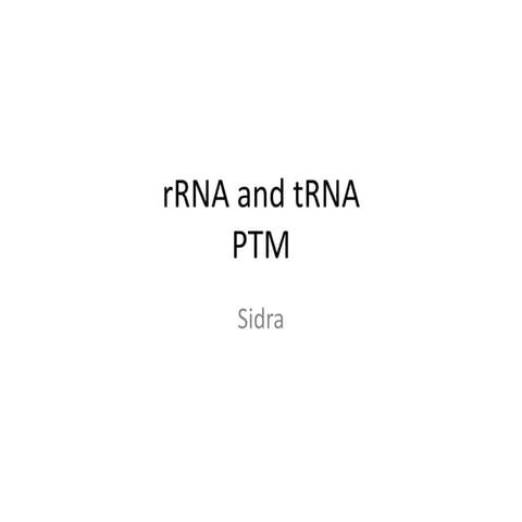 rRNA anr tRNA post transcriptional modifications