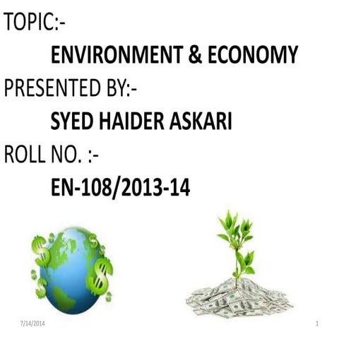 Environment and Economy
