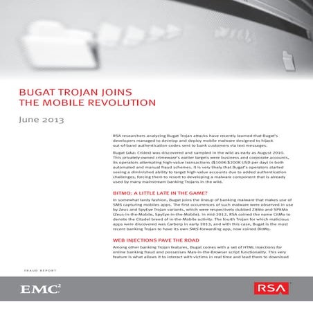 RSA Monthly Online Fraud Report - June 2013