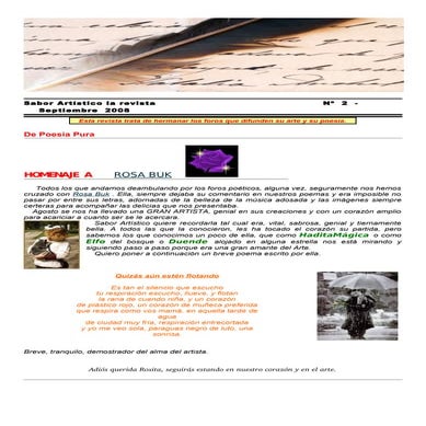 RSA2 - Sabor Artístico - La Revista - Nº 2 - Septiembre 2008