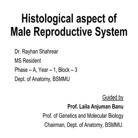 Histological aspect of Male Reproductive System