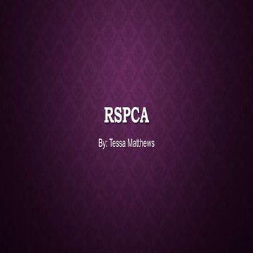 Rspca Pets 